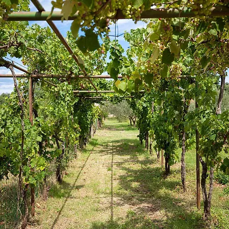 Cvita For 2 People Near Pula With Private Heated Pool فيلة *
